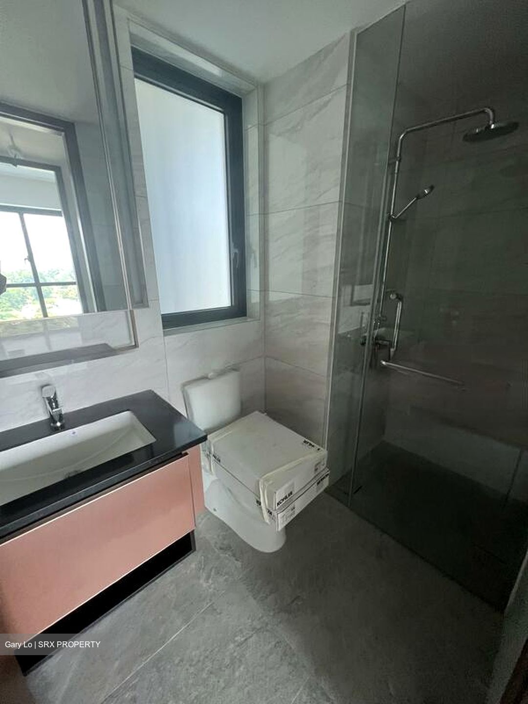 Normanton Park (D5), Apartment #476546921